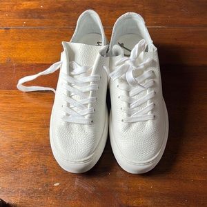 Sam Edelman Poppy Sneaker NWT 7.5